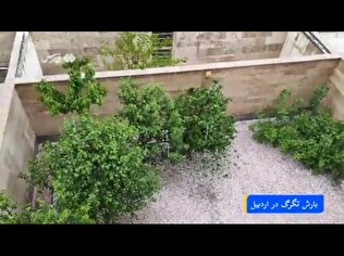 ویدئو| بارش سنگین تگرگ در اردبیل مردم را غافلگیر کرد