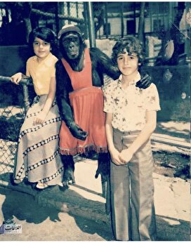 عکس‌های زیرخاکی از باغ وحش تهران ۴۰سال قبل!