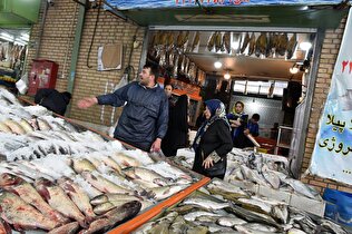 فروش ماهی دریاخزر به قیمت ۵١ میلیون تومان+ ویدئو