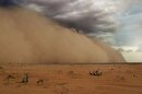 ویدئو| طوفان شن بی‌سابقه در زاهدان