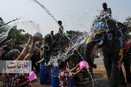 جشن آب‌بازی انسان و فیل در تایلند +تصاویر
